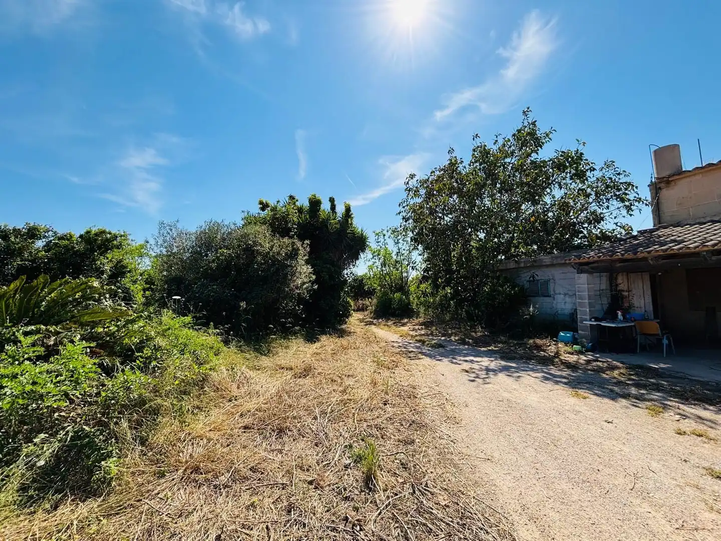 Terreno rústico en venta en Porreres, imagen 15
