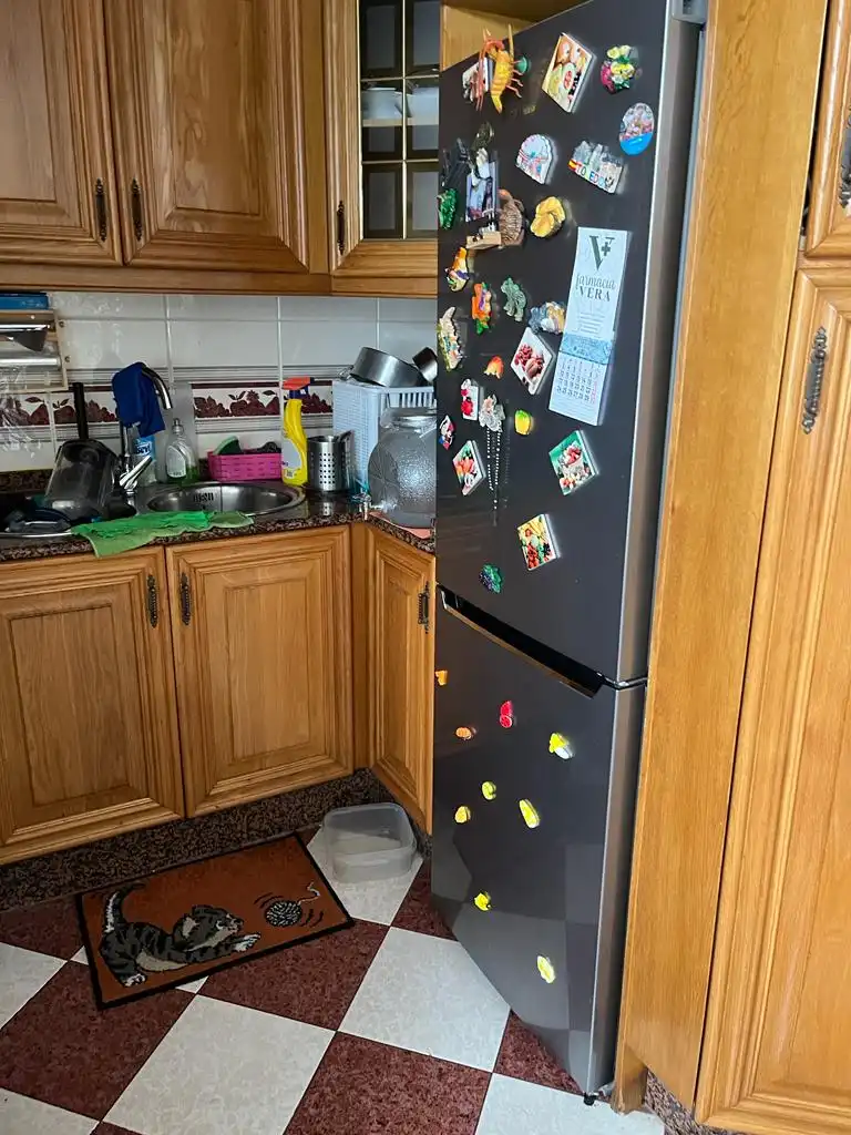 Kitchen of Flat for sale in Torrevieja  with Terrace, Furnished and Oven