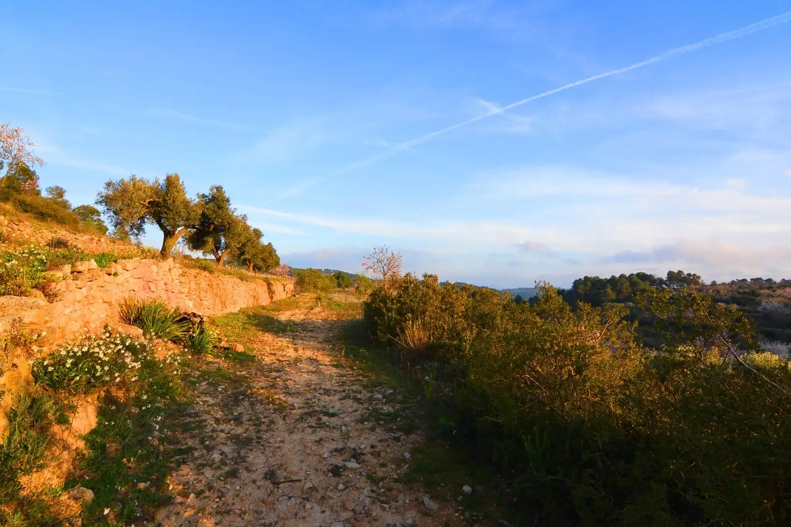 Rural land for sale in Corbera d'Ebre, imagen 76