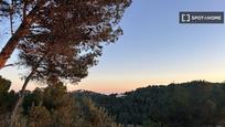 Vista exterior de Pis de lloguer en Canyelles amb Aire condicionat, Calefacció i Moblat