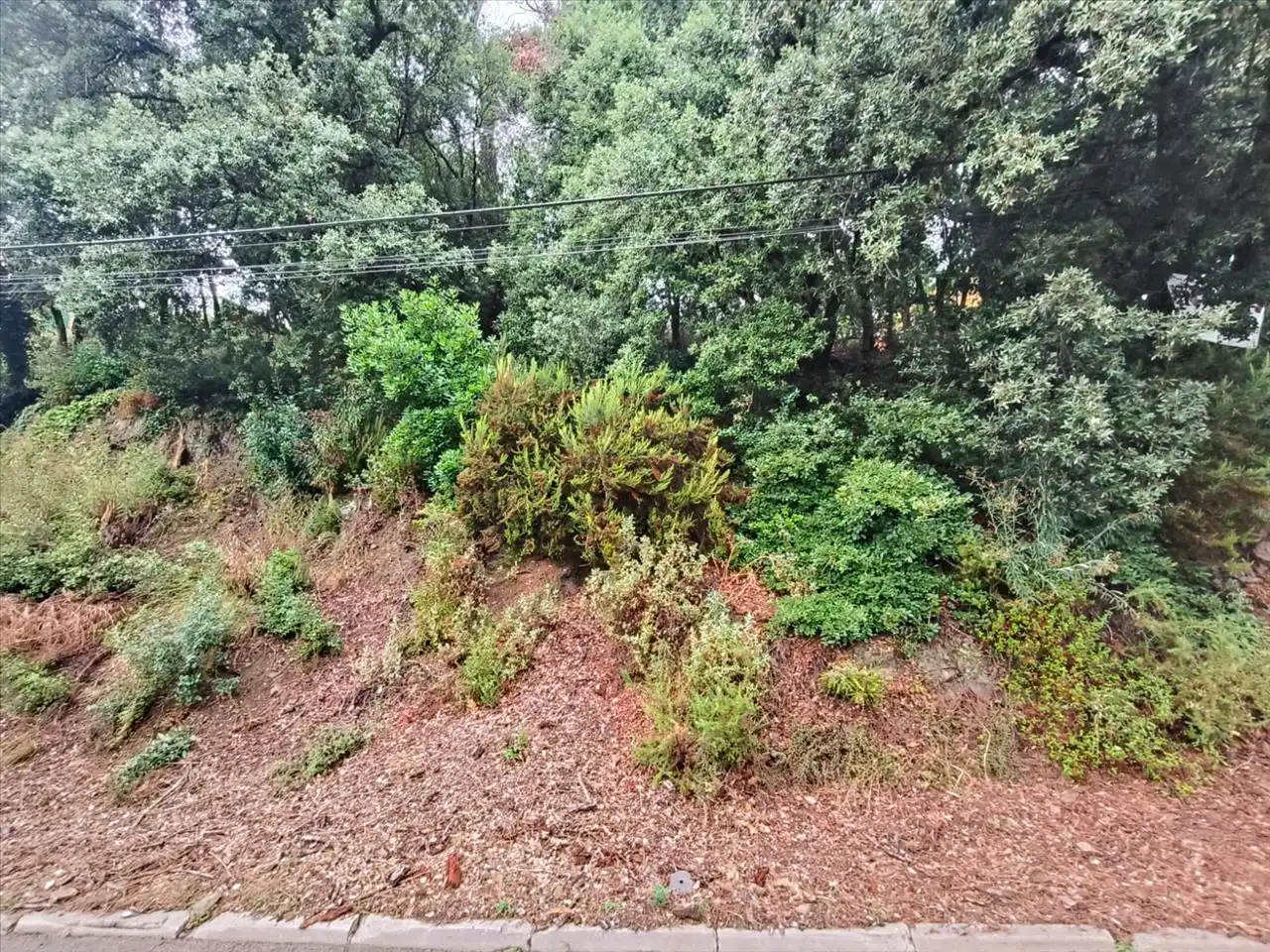 Wohnbaugrundstück zum Verkauf in Carrer Serra de Sant Feliu, 44, 08211 Castellar del Vallès, Barcelona, Spain 44, imagen 11