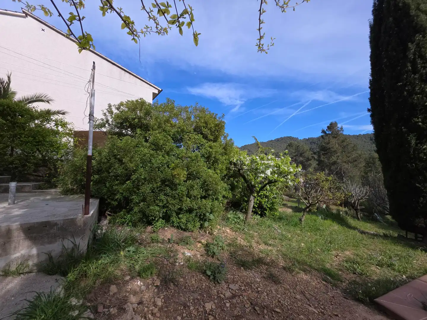 Villa con terrazza in vendita a Vallirana, imagen 40