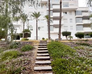 Vista exterior de Apartament de lloguer en  Murcia Capital amb Aire condicionat, Calefacció i Jardí privat