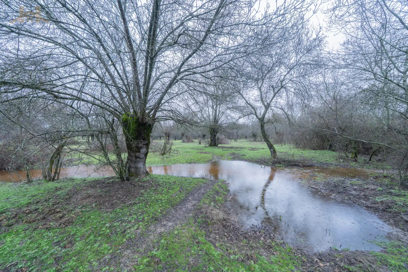 Terreno en venta en San Lorenzo de El Escorial