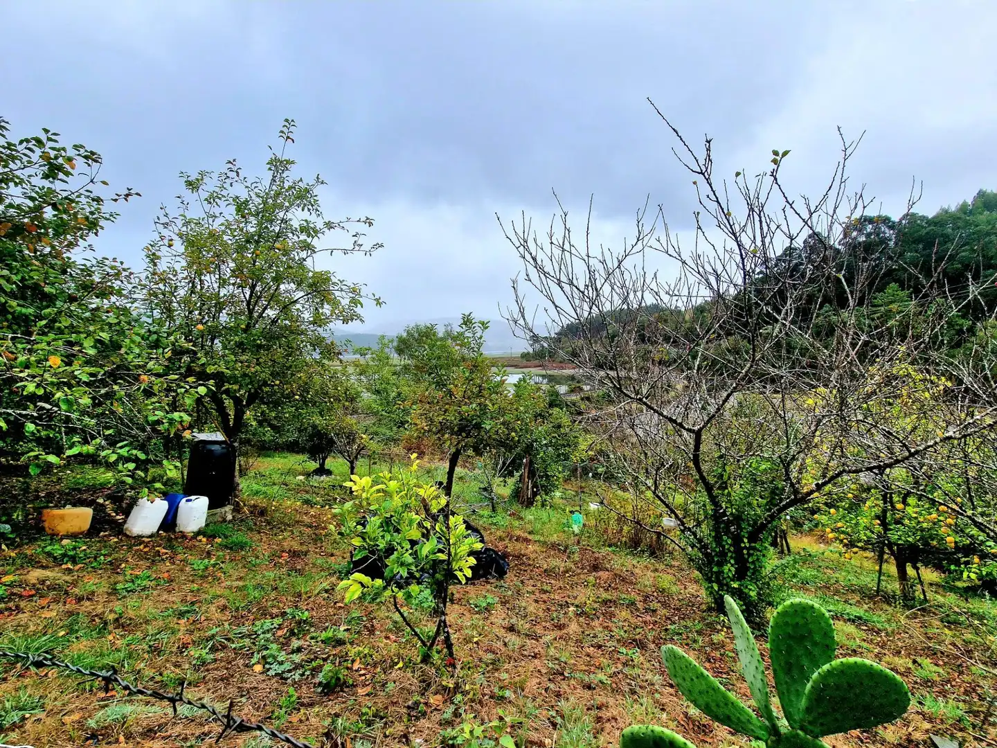 Haus mit Garten zum Verkauf in Ribadeo, imagen 37