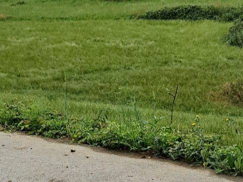 Terreno en Venta en Calle Mies de Durria, 0 en Ajo