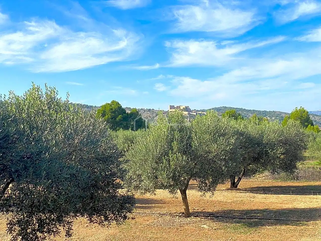 Rural land for sale in Partida Pedres, imagen 8