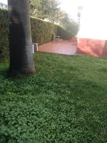Apartamento en venta en islantilla 1, imagen 29