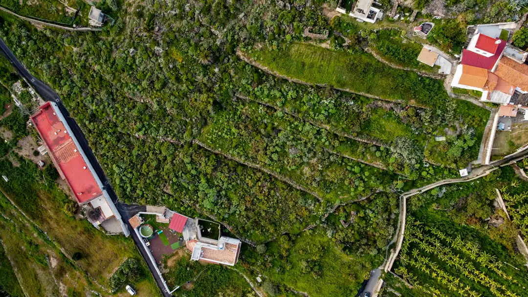 Finca rústica en venta en Moya (Las Palmas)