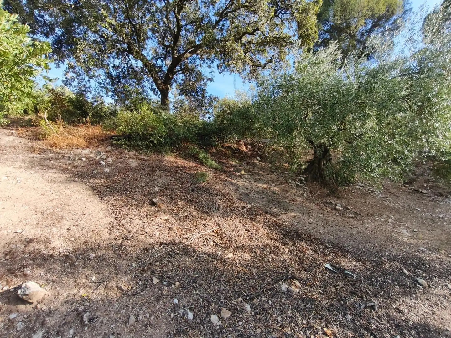 Finca rústica en venta en Iznájar