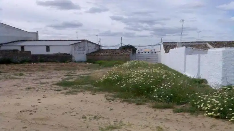 Industrial land for sale in Carrión de los Céspedes