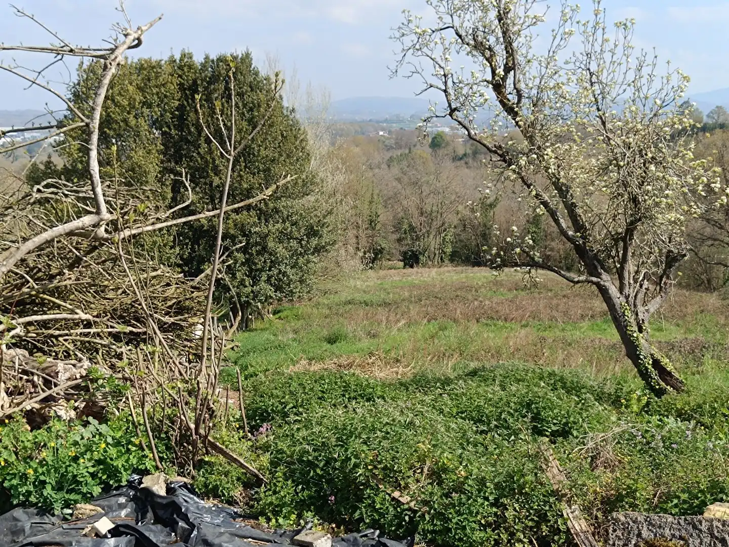 Casa o chalet en venta en Siero con Piscina