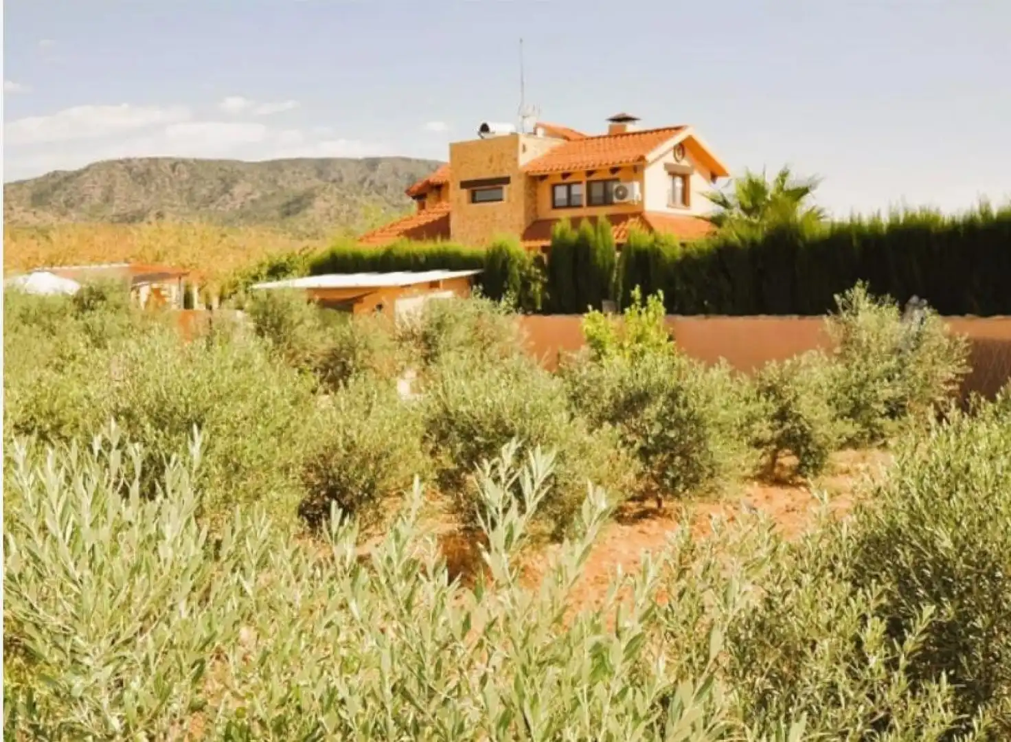 House for sale in El Pinós / Pinoso, imagen 8
