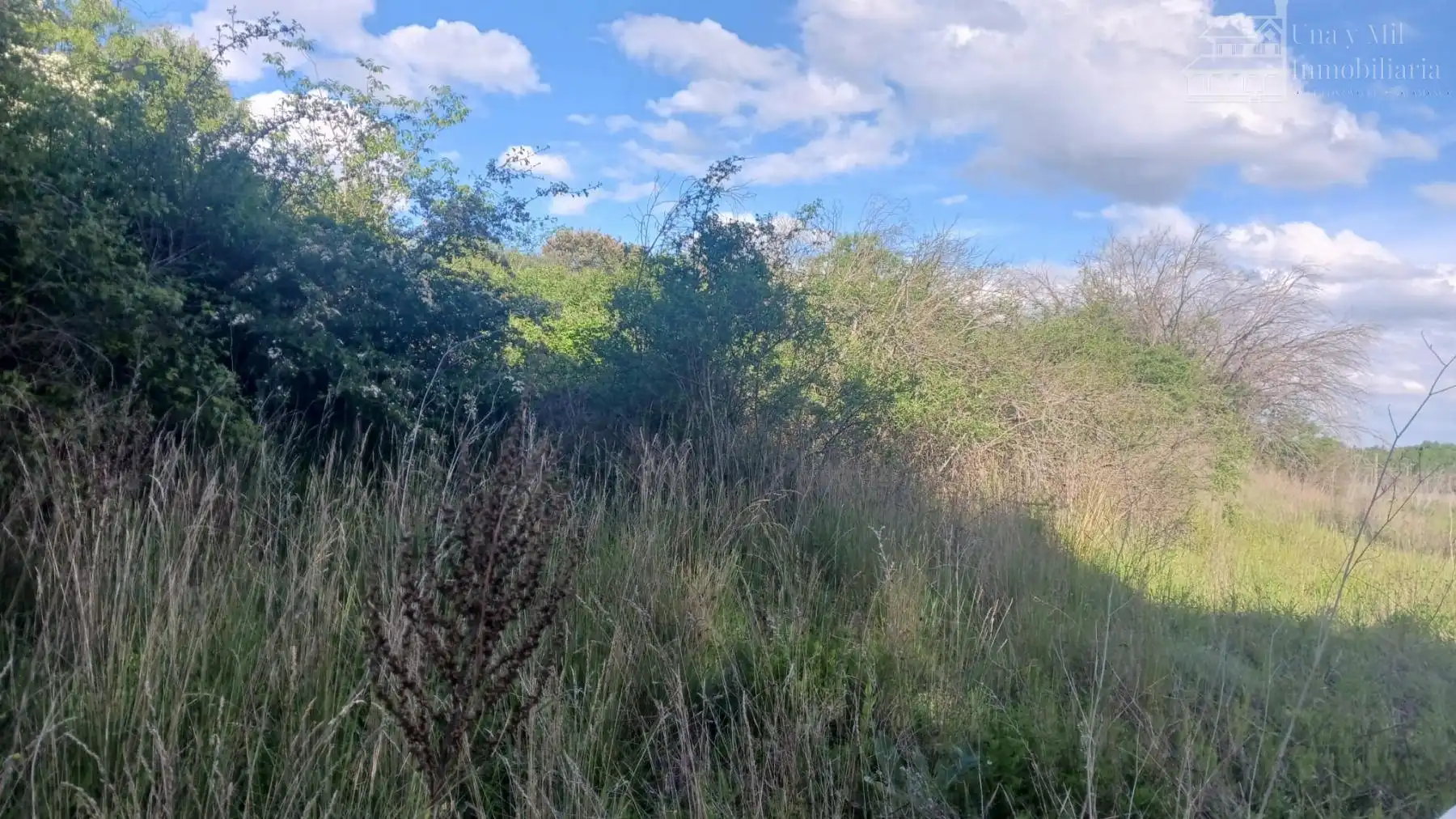 Lands and plots for sale in Valverdón, imagen 12