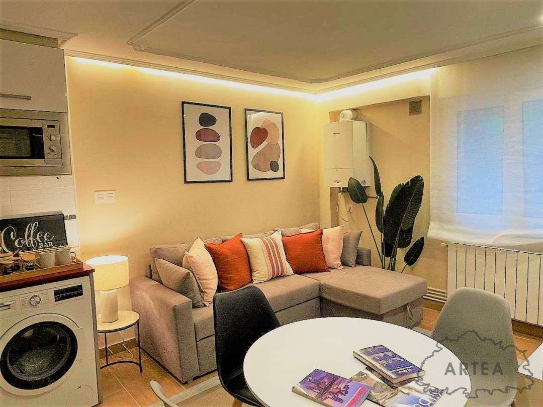 Living room of Flat to rent in Bilbao   with Heating, Oven and Washing machine