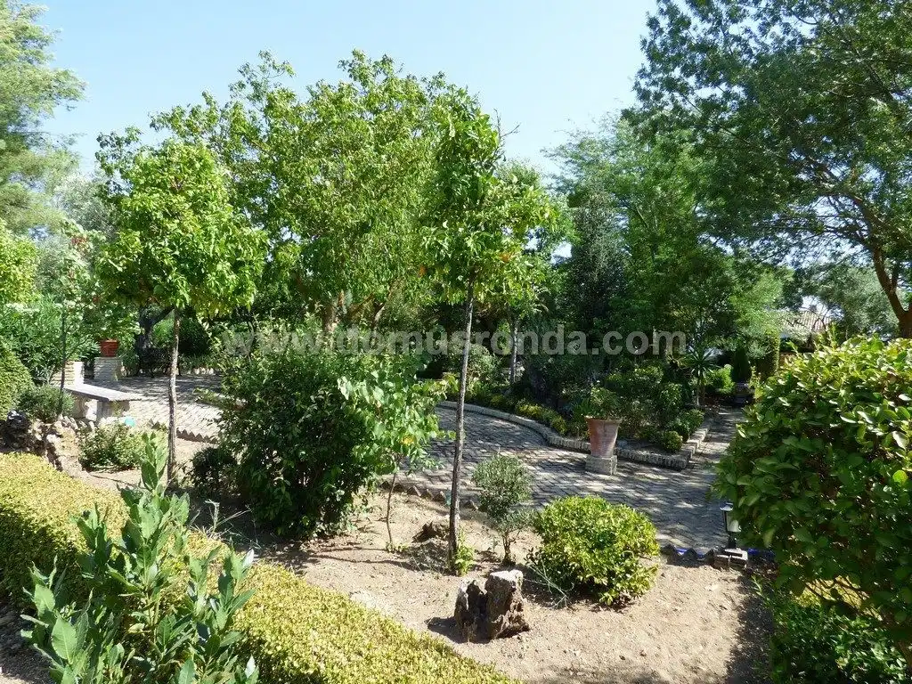 Xalet amb piscina en venda a San Rafael, imagen 5