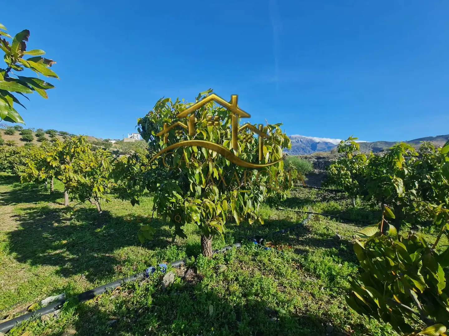 Casa rustica in vendita a Diseminado Atalaya Baja, imagen 38