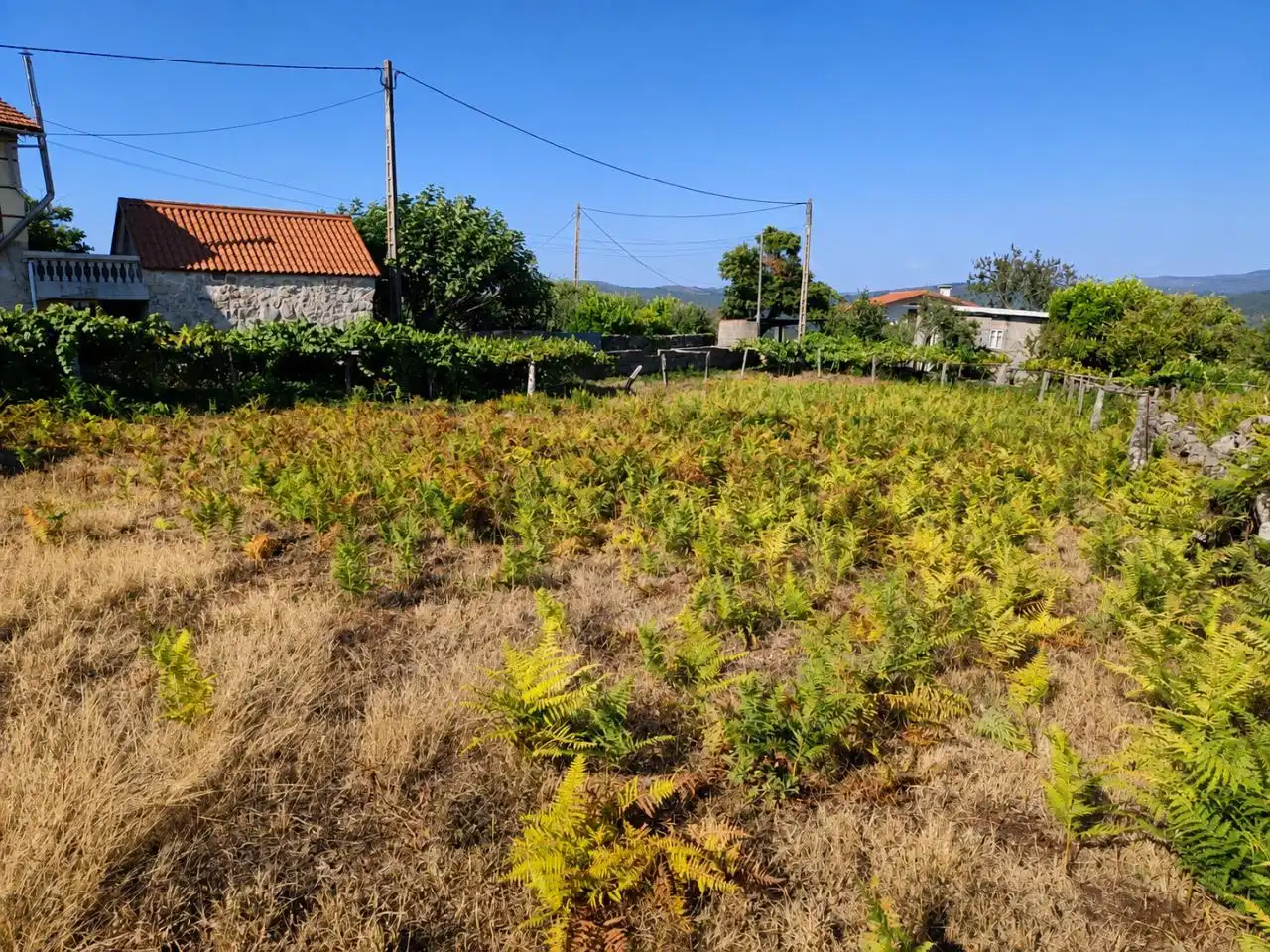Casa rústica en venda a Pazos de Borbén, imagen 13