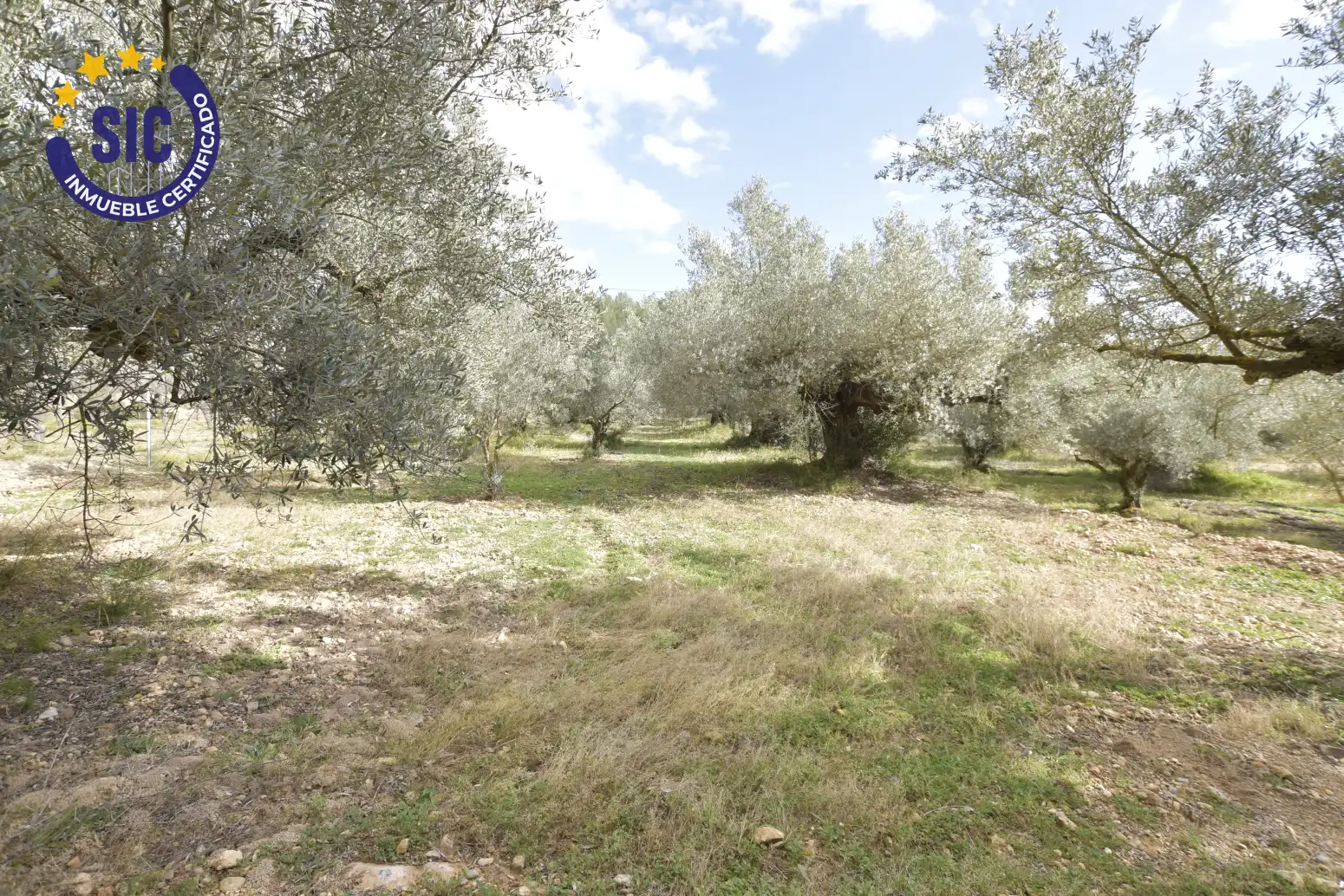 Land for sale in Jérica