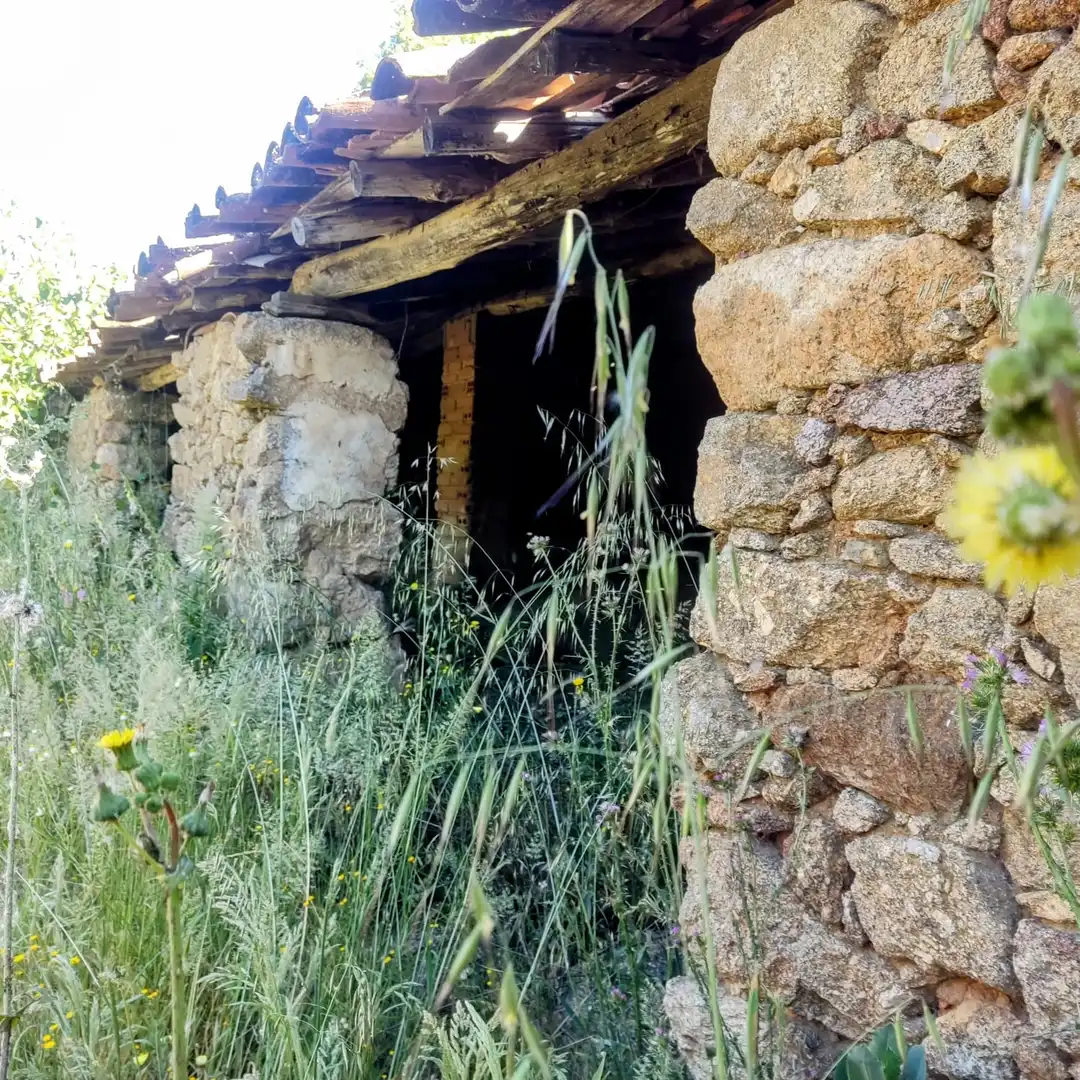 Exterior view of Land for sale in Jarandilla de la Vera