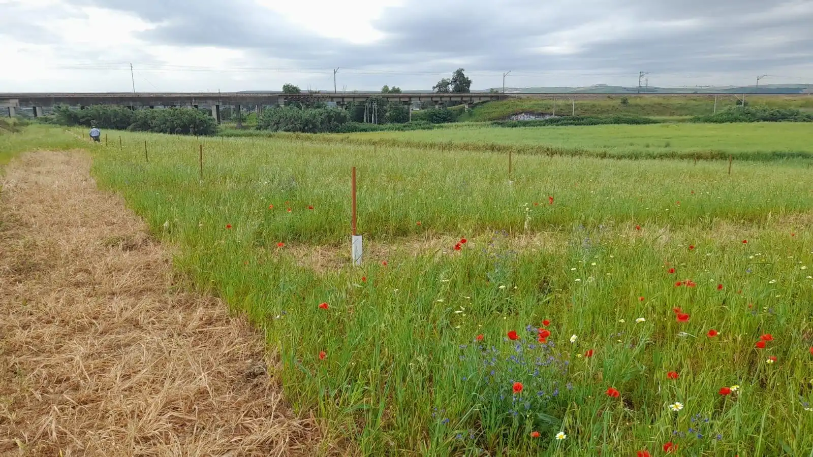 Grundstücke und Bauplätze zum Verkauf in Periurbano Oeste - Sierra, imagen 11
