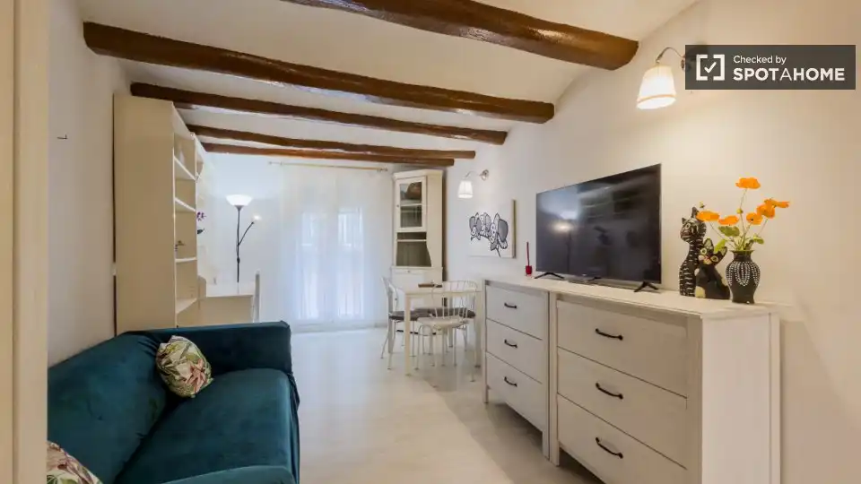 Sala de estar de Piso de alquiler en Barcelona con Aire acondicionado, Calefacción y Amueblado