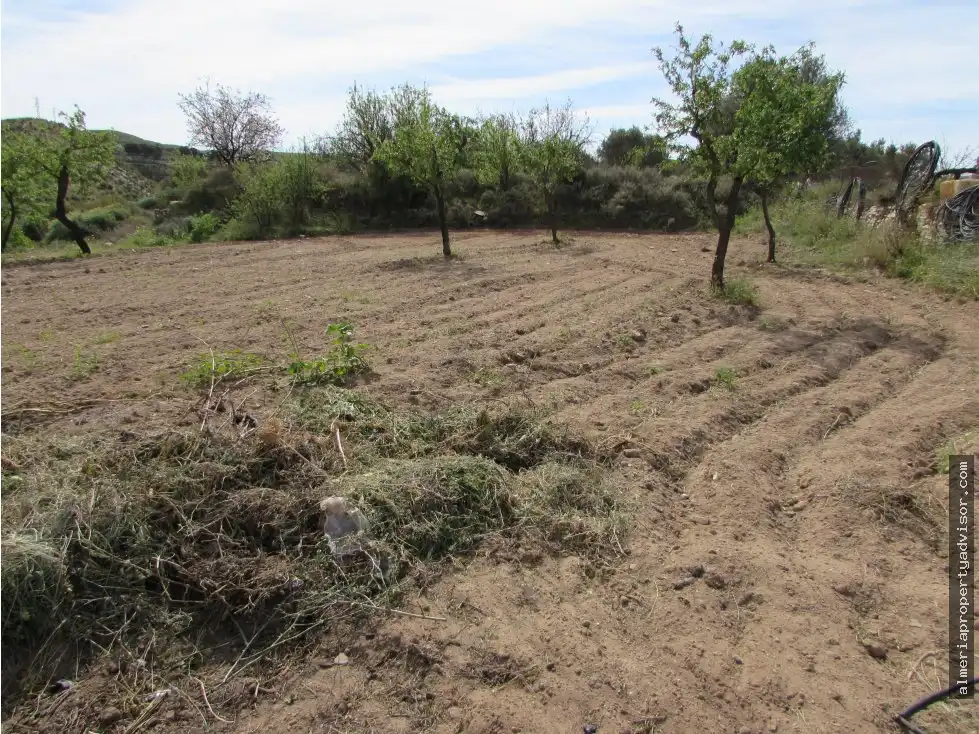 Country house for sale in Sorbas, imagen 15