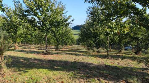 Foto 3 de Terreno en venta en Dumbría, A Coruña