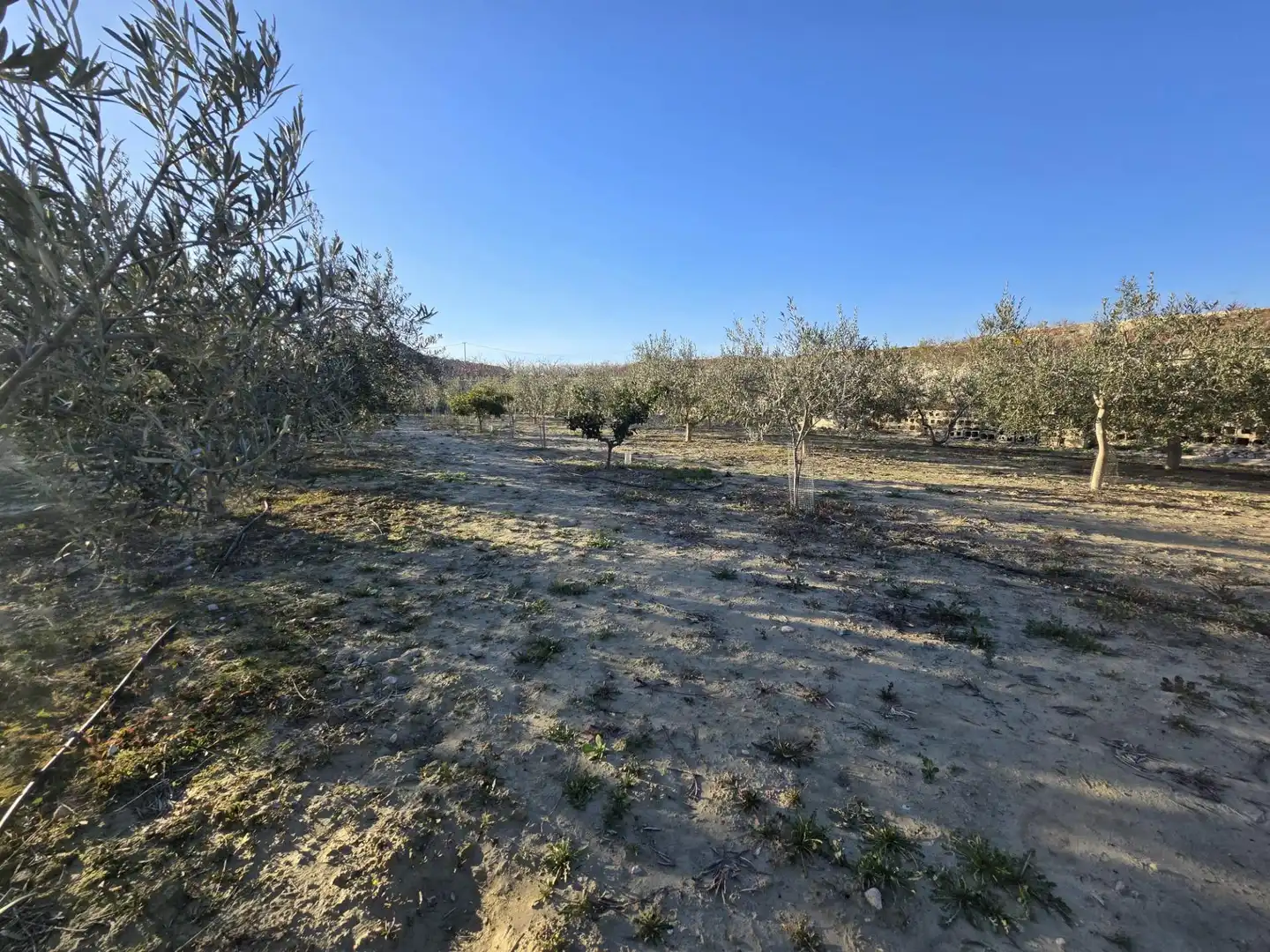 Casa o xalet en venda en Alguazas amb Jardí privat i Piscina comunitària