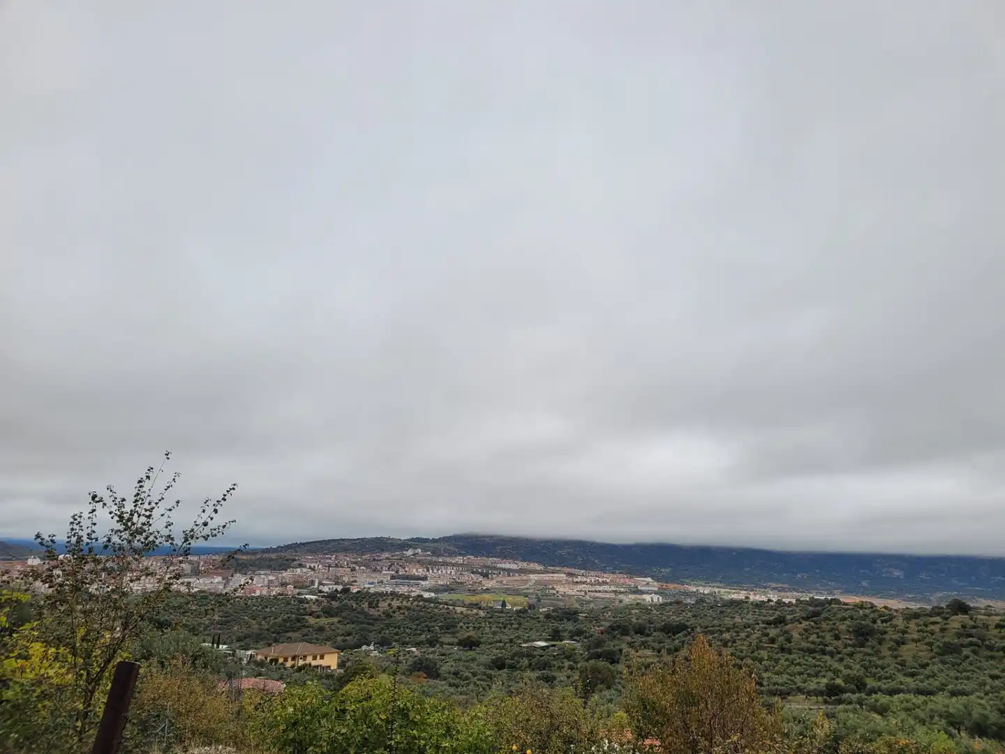 Terreni e lotti in vendita a Carretera Malpartida 5M, imagen 4