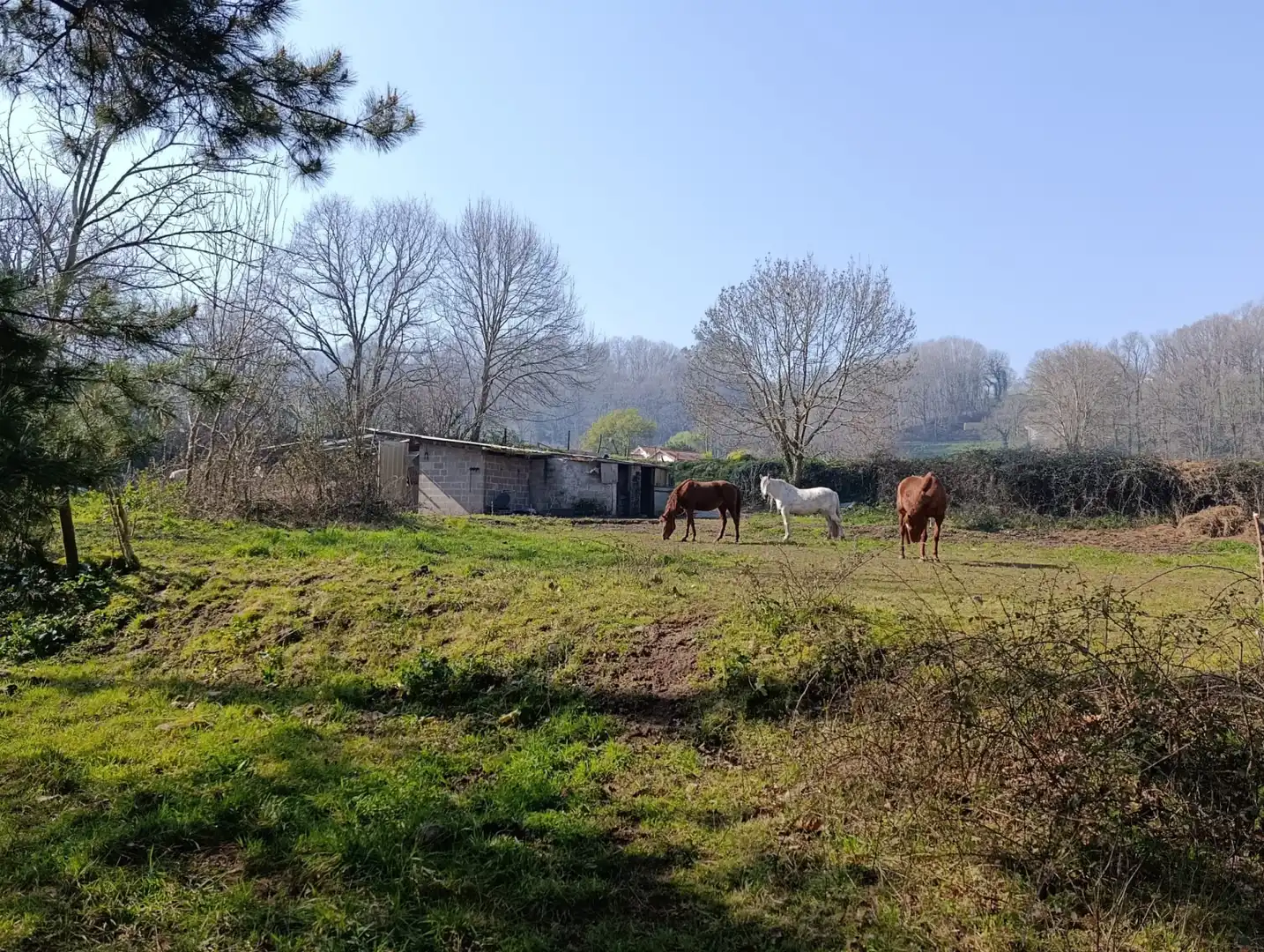 Terreni e lotti in vendita a Selaya - LA MIES, imagen 14