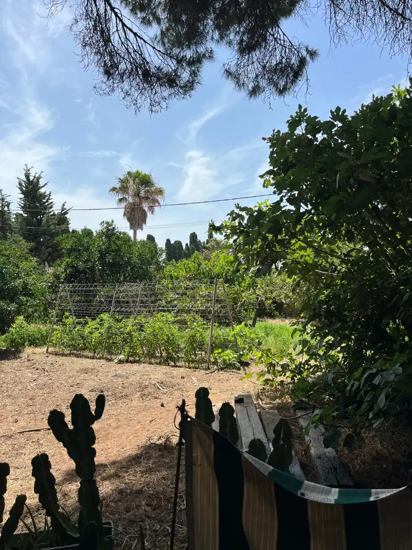 Land for sale in El Puerto de Santa María
