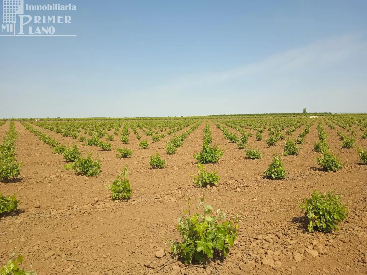 Terrenos y solares en venta en Socuéllamos