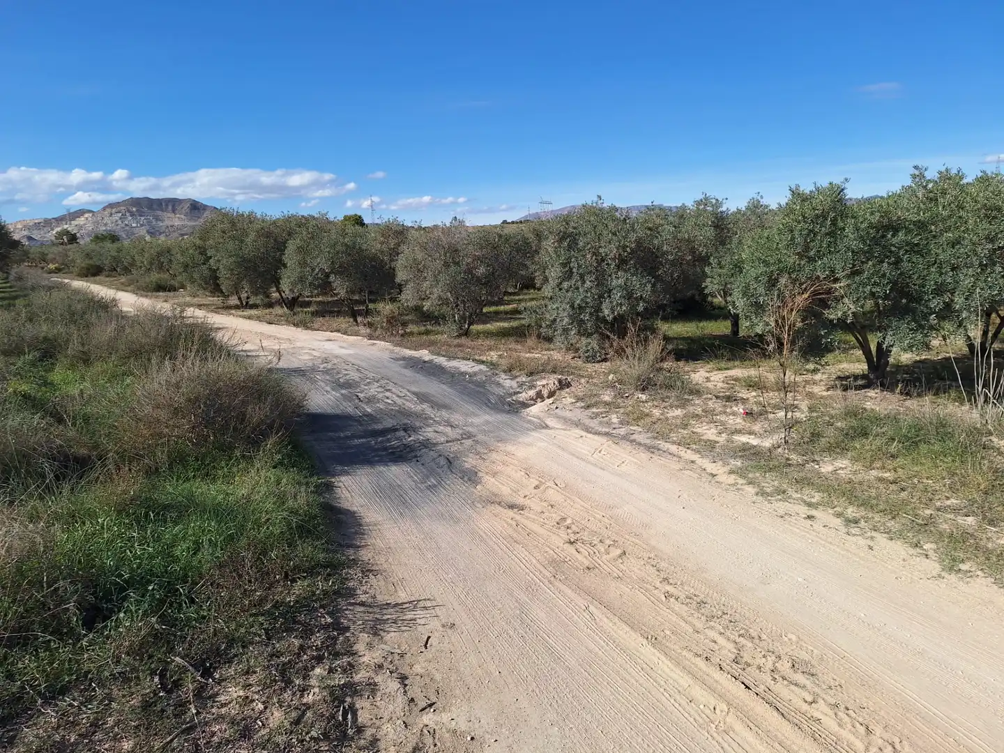 Vista exterior de Finca rústica en venta en Alicante / Alacant con Trastero