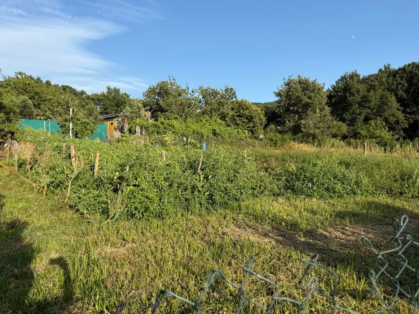 Houses for sale in Allariz, Ourense