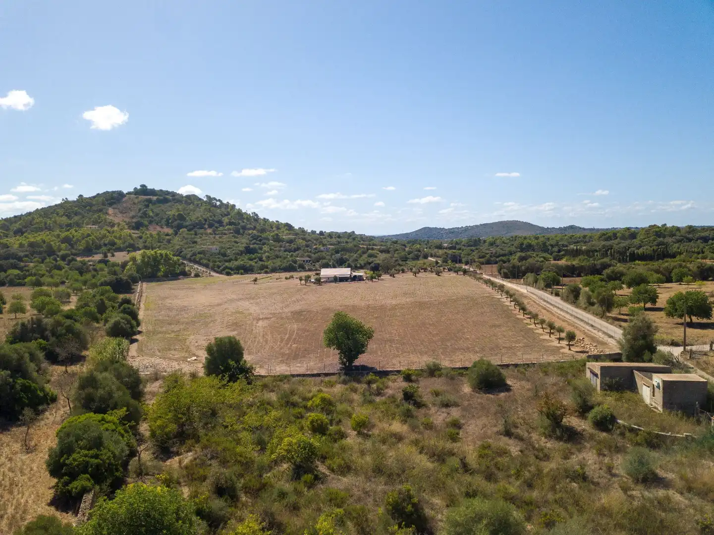Rural land for sale in Son Vives, imagen 9