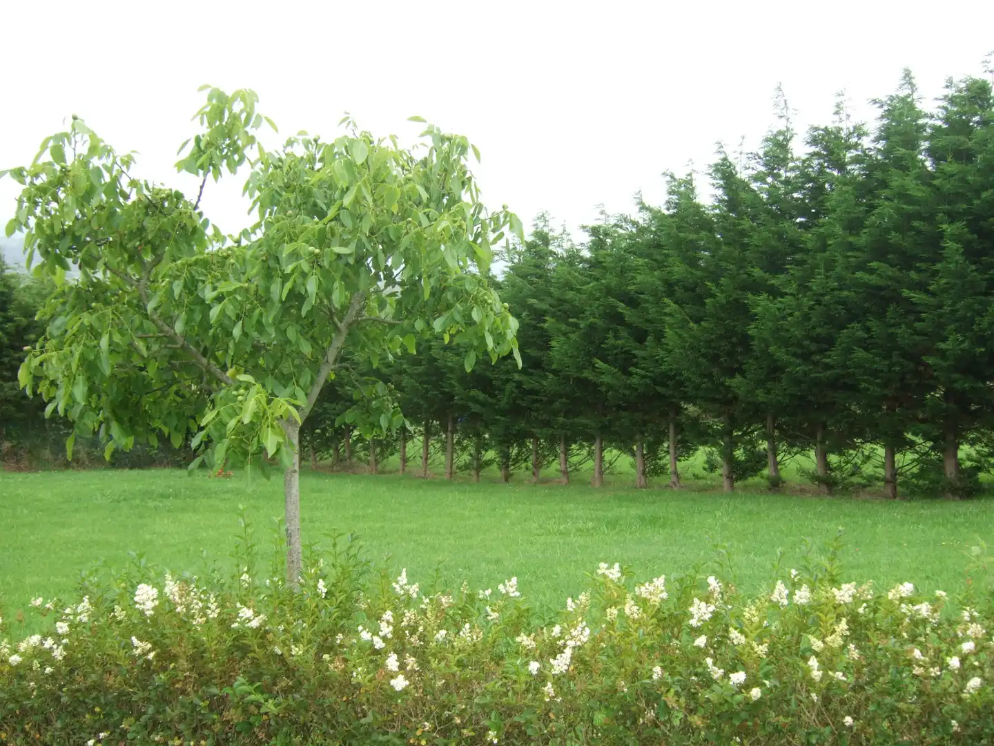 Garden of Houses for sale in San Vicente de la Barquera  with Heating, Private garden and Storage room