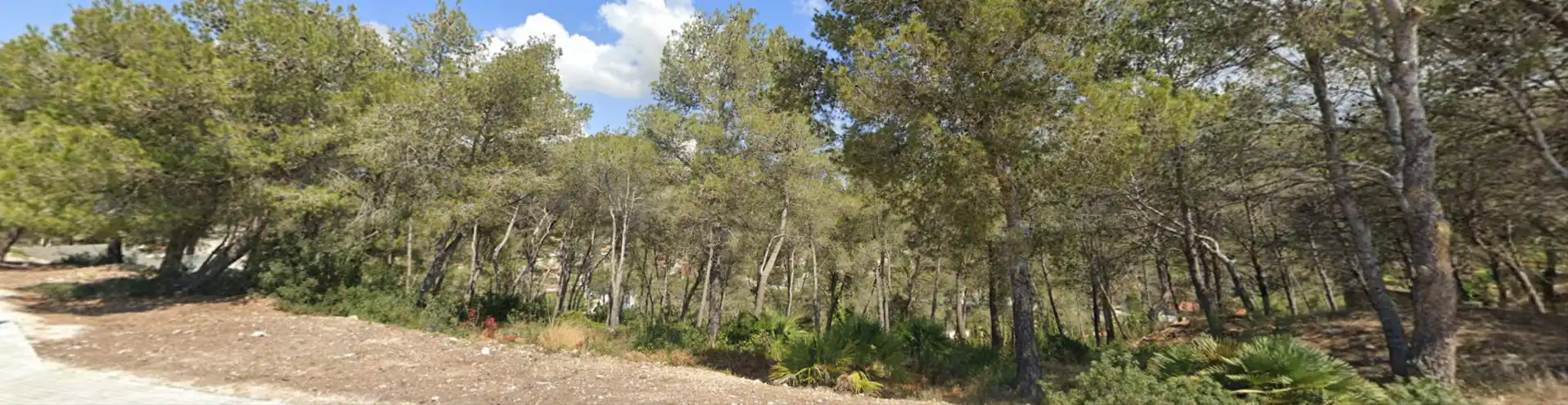 Terreno residencial en venta en Avinguda California, imagen 10