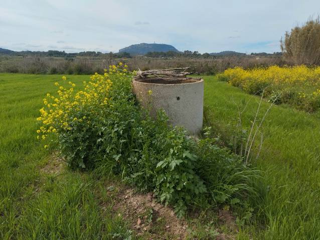 Terreno en Venta en Montuïri