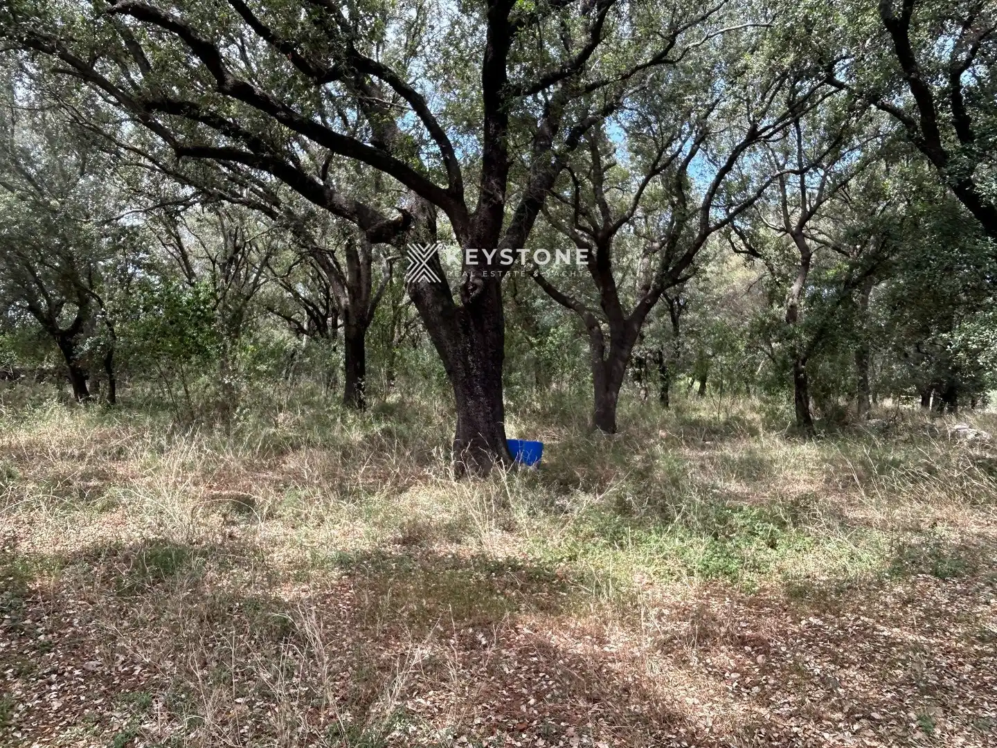 Residencial en venta en Búger