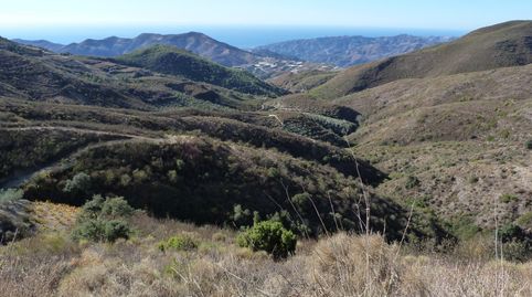 Parcela de terreno en venta en el paraje de Jurite Ítrabo de 22.000 metros cuadrados., immagine 5