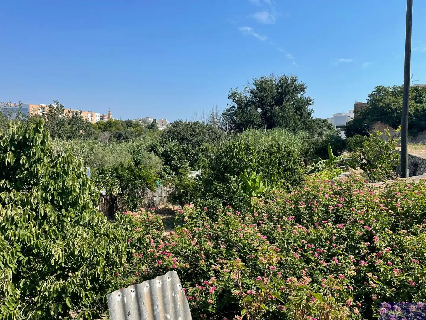 Casa o chalet en venta en Avinguda d'Alacant, 47, Centro Histórico