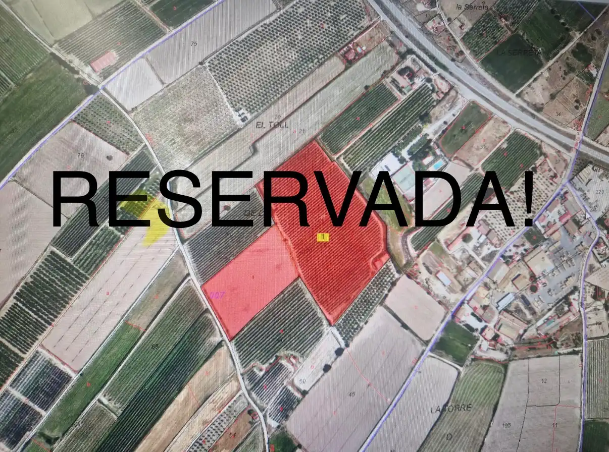 Terreny rústic en venda a Les Borges Blanques