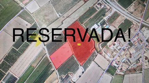 FINCA DE REGADIU (CANAL D'URGELL) PLANTADA DE FRUITERS
