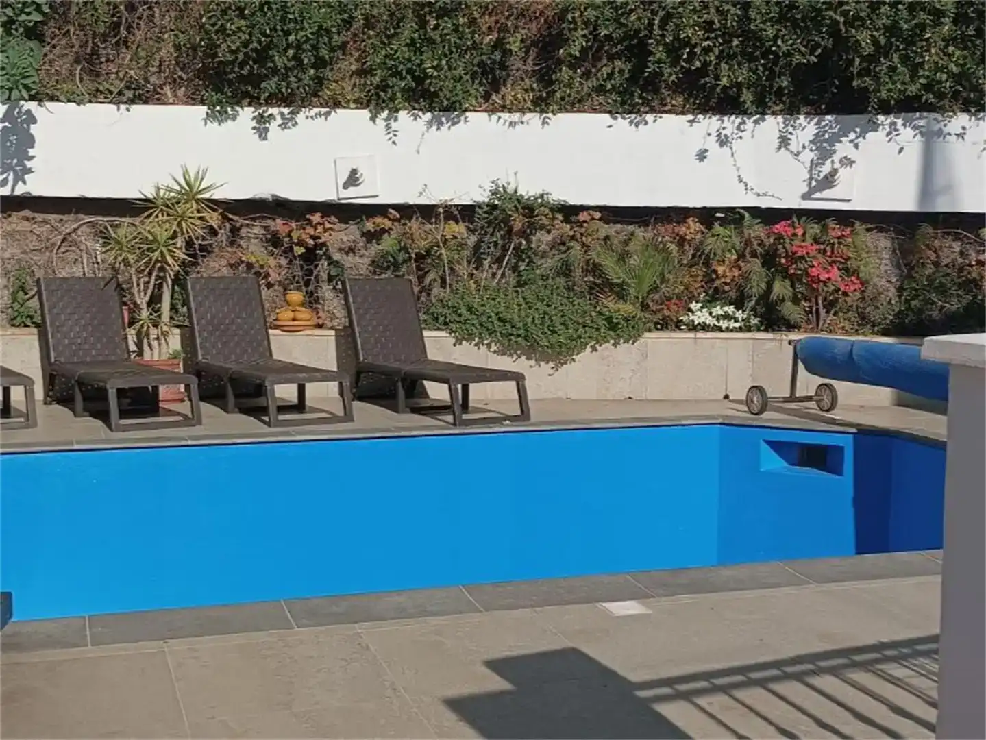 Swimming pool of Houses for rent in Torrox  with Swimming Pool and Balcony