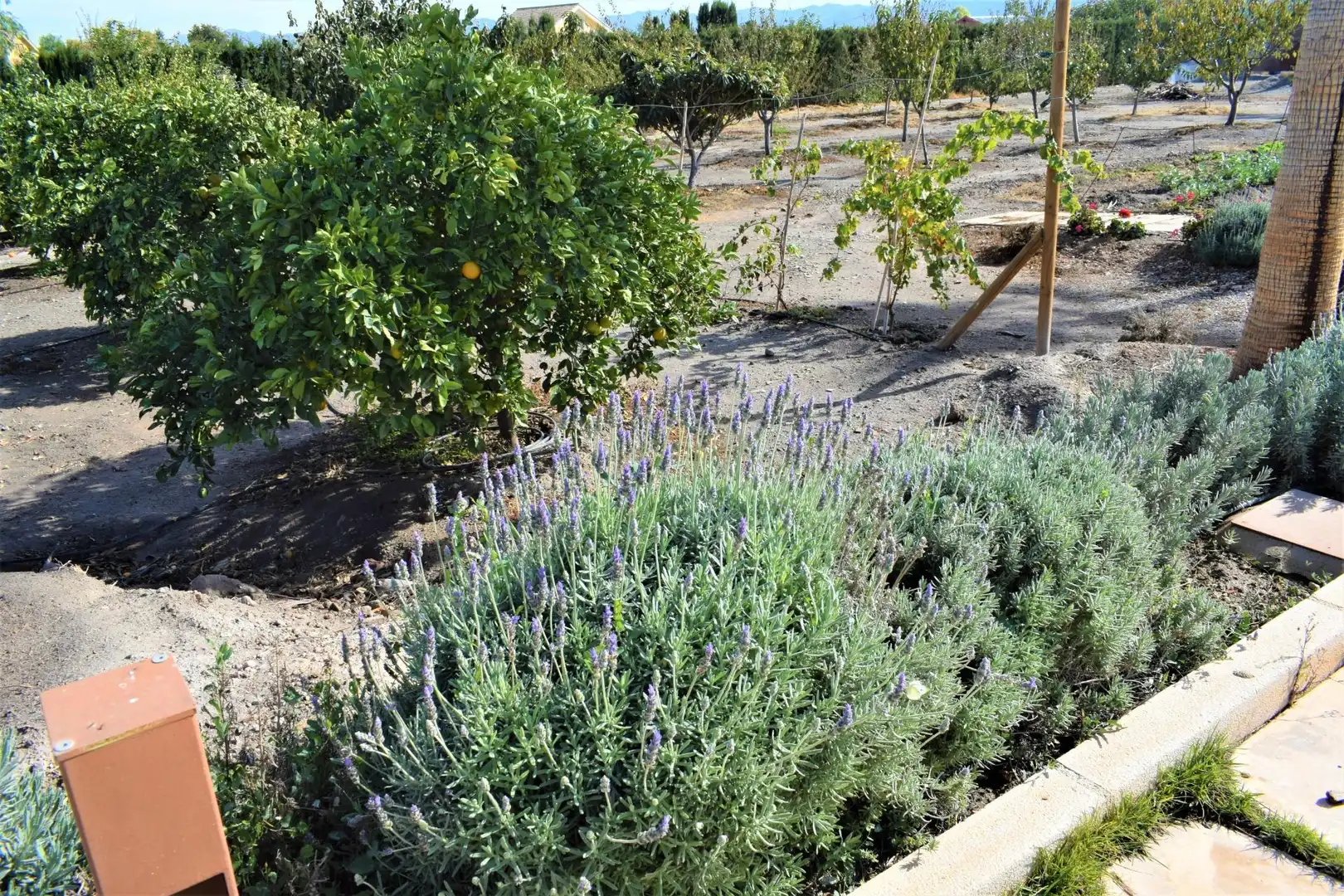 Jardín de Casa o chalet en venta en Puerto Lumbreras con Aire acondicionado, Jardín privado y Terraza