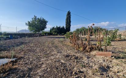 Terreny industrial en venda en Maracena