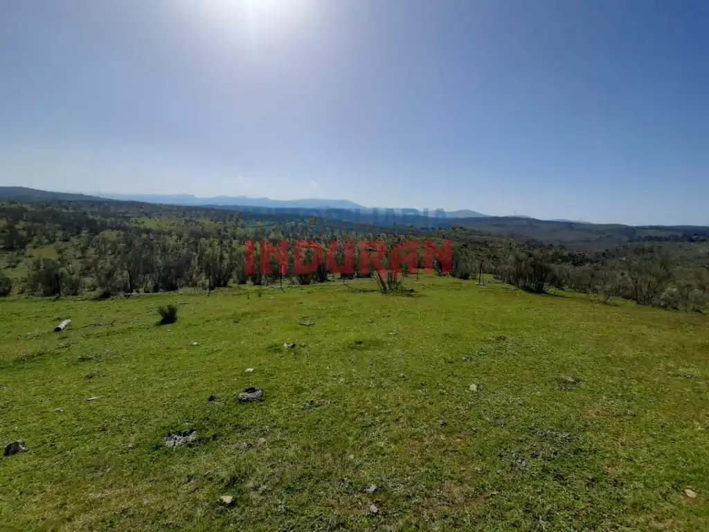 Finca rústica en venta en Valdelacasa de Tajo