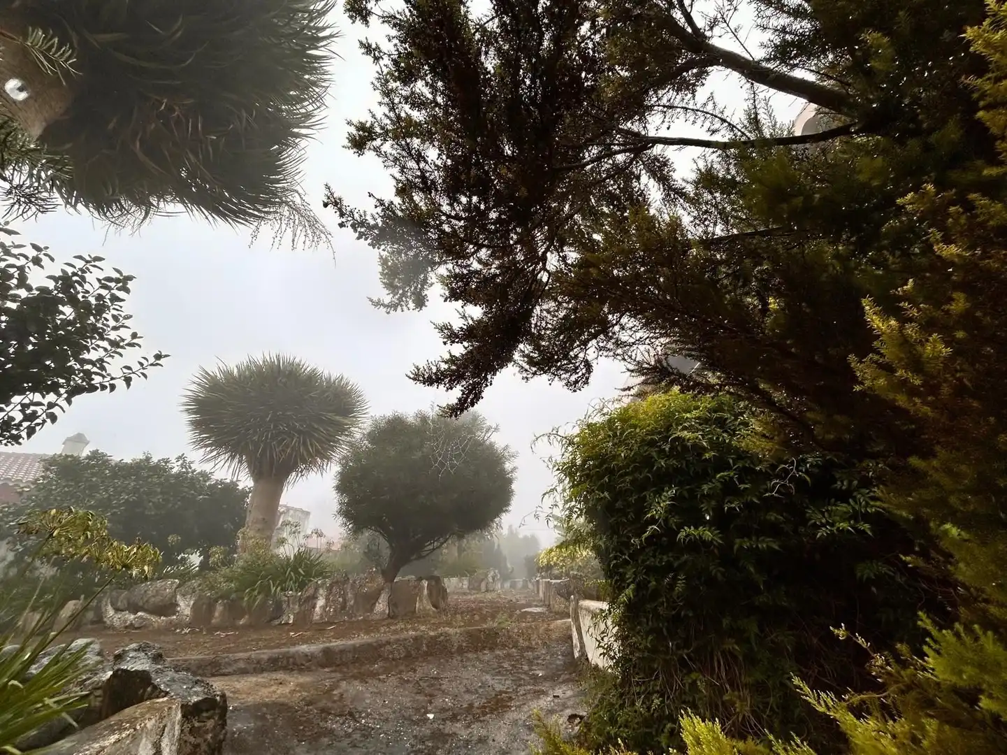 Appartamento in vendita a La Esperanza - Llano del Moro, imagen 19