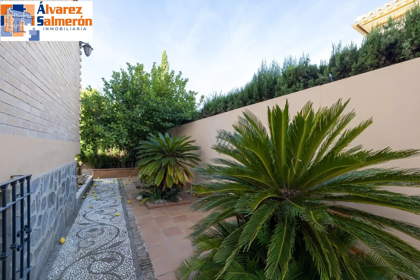 Villa avec terrasse à vendre à Calle VIÑEDOS LOS, imagen 49